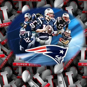 New England Patriots 11×16