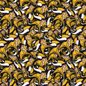Minnesota Vikings 24