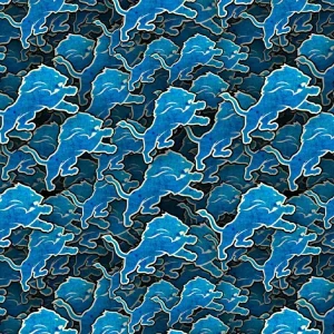 Detroit Lions 23