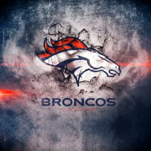 Denver Broncos 23 11×16