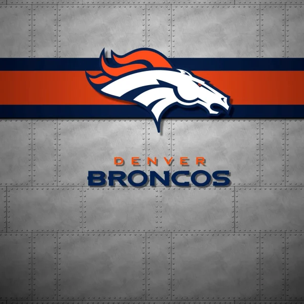 Denver Broncos 22 11x16