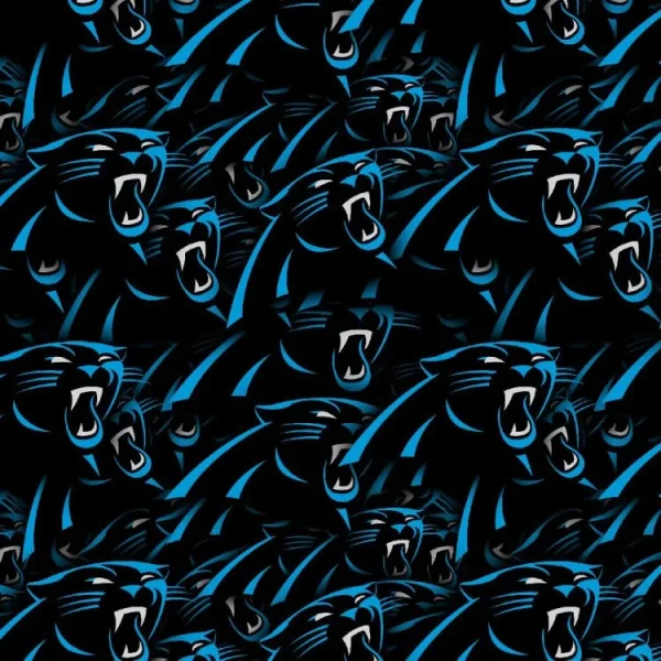 Carolina Panthers 23