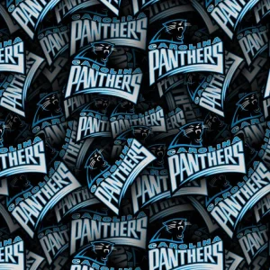 Carolina Panthers 22