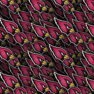 Arizona Cardinals 23