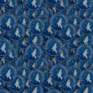 Minnesota Timberwolves 22