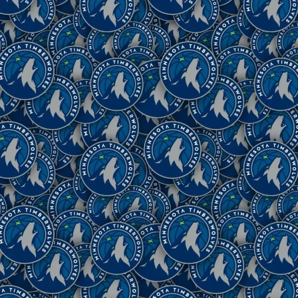 Minnesota Timberwolves 22