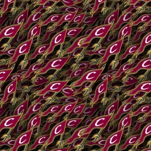 Cleveland Cavilers 23