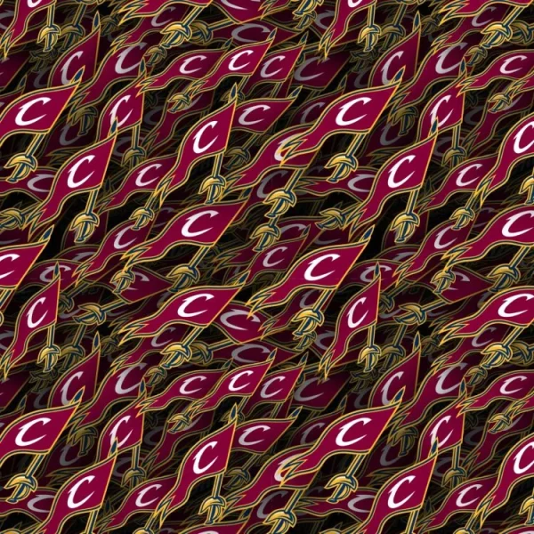 Cleveland Cavilers 23