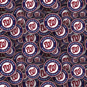 Washington Nationals 22
