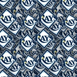 Tampa Bay Rays