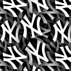 New York Yankees 24
