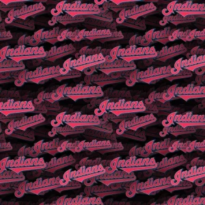 Cleveland Indians 22