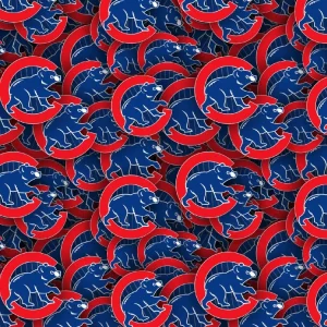 Chicago Cubs 24