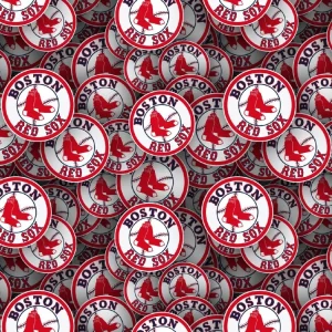 Boston Red Sox 24