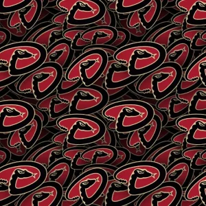 Arizona Diamondbacks 24