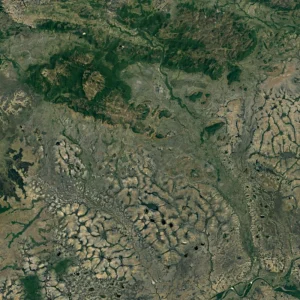 Amazon Topo Camouflage
