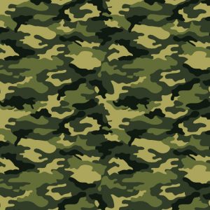 Woodlands 22 Camouflage Woodlands 22 Camouflage