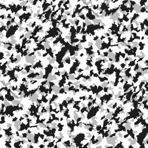 Urban Winter Camouflage