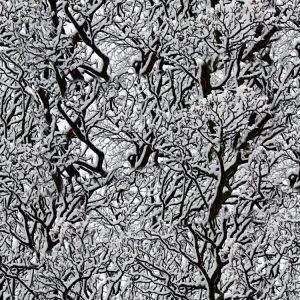 Snow Tree 22 Camouflage Snow Tree 22 Camouflage