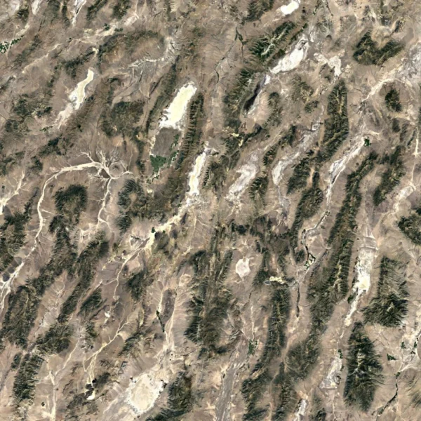 Shoshone Mountain Camo