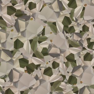 Polygon 22 Camouflage Polygon 22 Camouflage