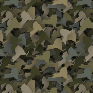 New York Camouflage New York Camouflage