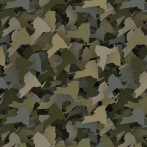 New York Camouflage