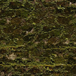 Mossy Stone Camouflage Mossy Stone Camouflage