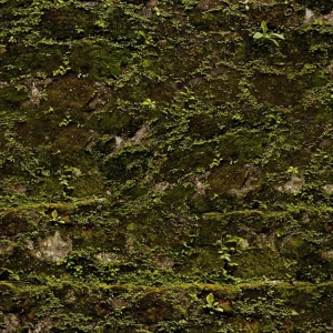 Mossy Stone Camouflage