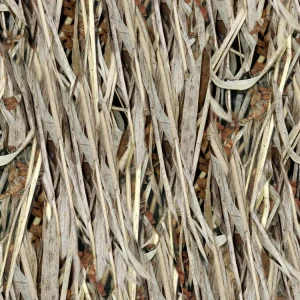 Long Marsh Camouflage