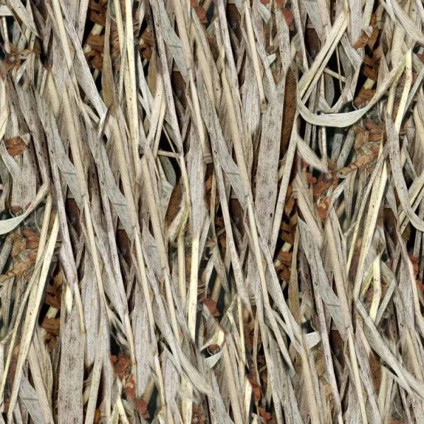 Long Marsh Camo