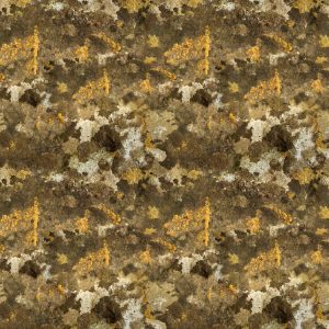 Lichen 26 Camouflage Lichen 26 Camouflage