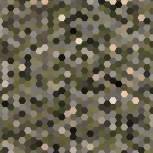 Hex 23 Camouflage
