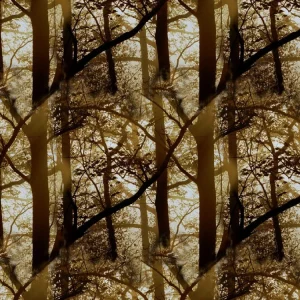 Golden Forest Camouflage