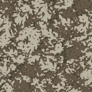 Desert Variegated 24 Camouflage Desert Variegated 24 Camouflage