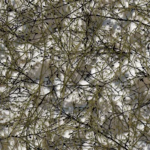 Desert Branches 23 Camouflage