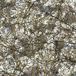 Desert Branches 22 Camouflage Desert Branches 22 Camouflage