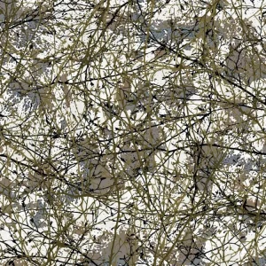 Desert Branches 22 Camouflage