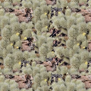 Desert Bear Camouflage