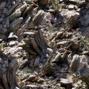 Dark Canyon 22 Camouflage Dark Canyon 22 Camouflage