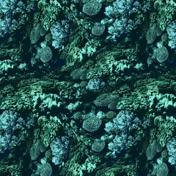 Coral Camo 27