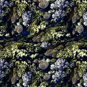 Coral 23 Camouflage