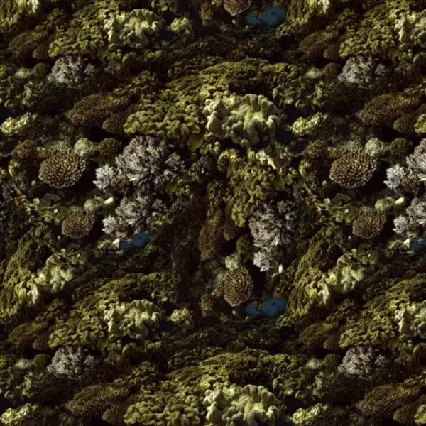 Coral Camo 22
