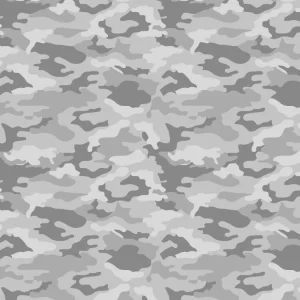 Concrete Camouflage