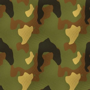 Canvas Camouflage