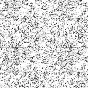 Paint Splatters 24