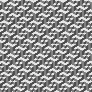 MC Escher 22