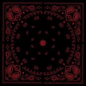 Black & Red Bandanna