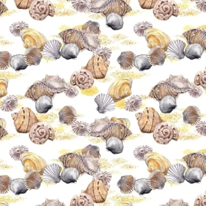 Seashells & Sand
