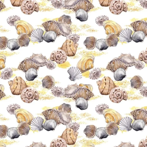 Seashells and Sand